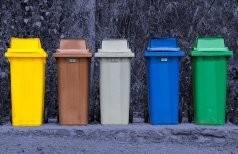 Five color garbage bins on the park.