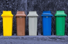 Five color garbage bins on the park.